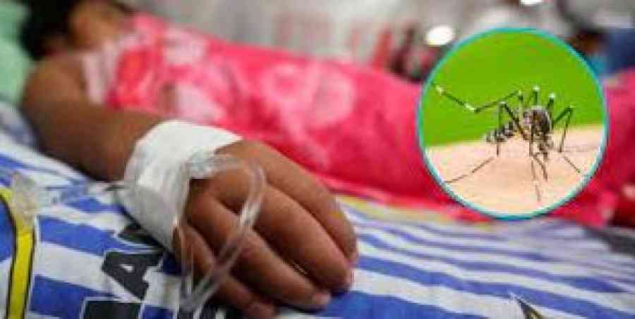 En Cochabamba, un niño de cuatro años muere a causa del dengue