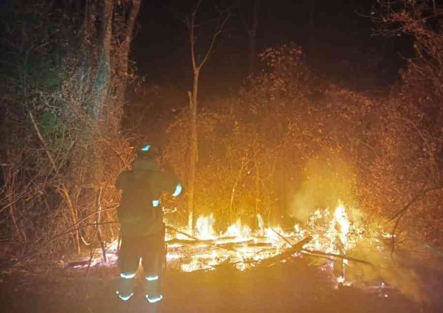 Defensa Civil evacua a 60 personas por los incendios en el municipio de Concepción