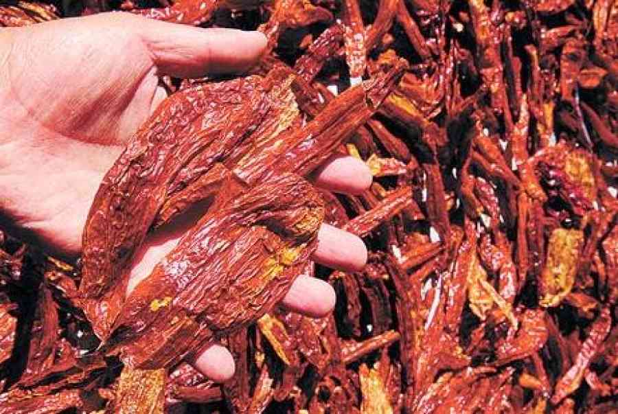 Cinco productos bolivianos entran al listado de Denominación de Origen en la CAN