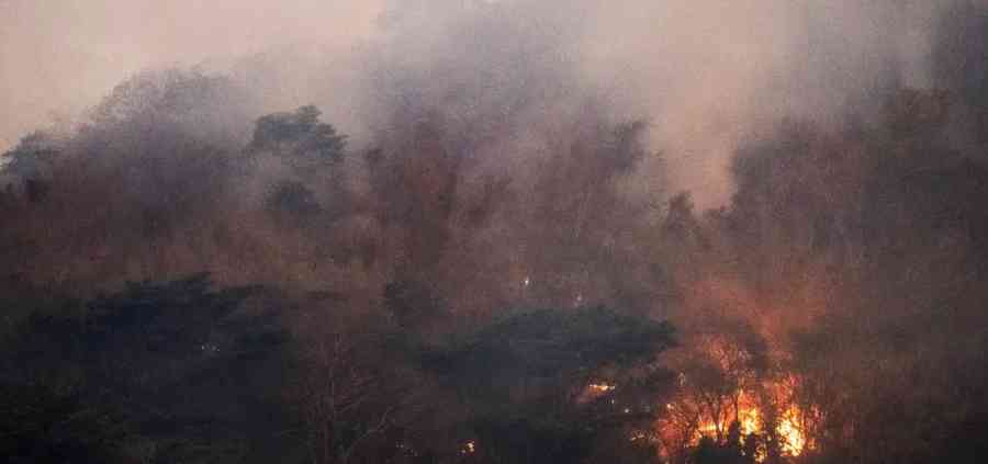 Incendios en Brasil aceleran la deforestación de la Amazonía