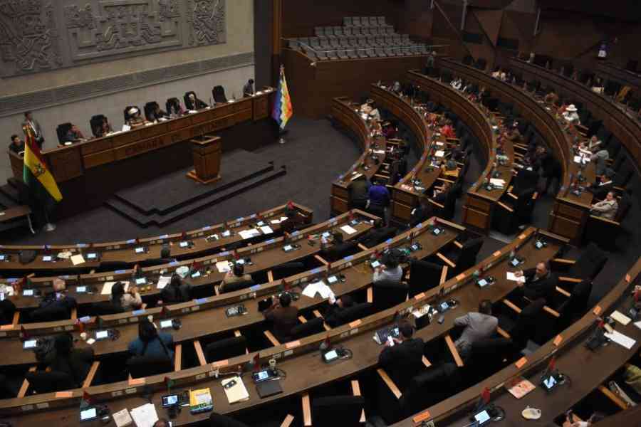 Diputada evista dice que esta tarde habrá cinco candidatos para la presidencia de Diputados