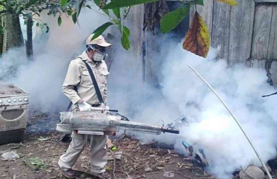 Tarija: El dengue al acecho tras las intensas lluvias