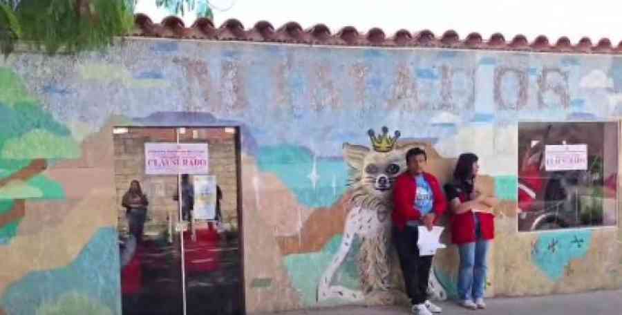 Clausuran la peluquería canina Mimados de Tarija por el delito de biocidio