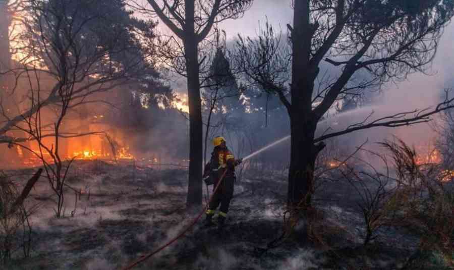 Nuevo incendio en la Patagonia argentina deja 200 familias evacuadas y arrasa casas y bosques