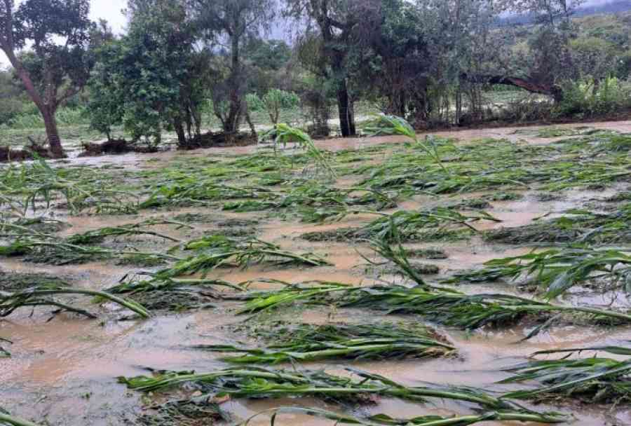 El desborde del río Camacho golpea a familias de Arce y Avilés