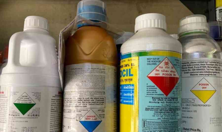 Sujeto intentó envenenar a su pareja haciéndole consumir insecticida