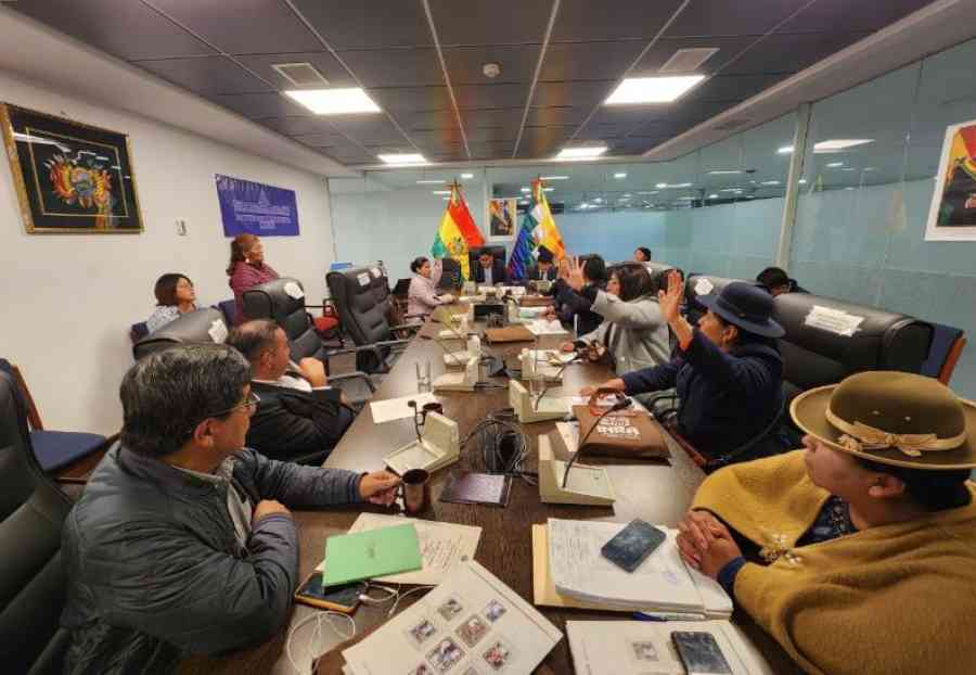 Comisión de Diputados aprueba crédito para Planta Solar en Viacha