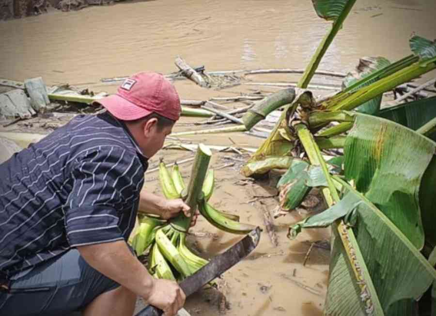 Gobierno analiza declarar emergencia nacional por inundaciones en el país