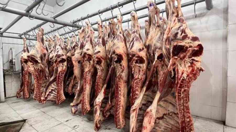Bolivia gestiona la exportación de carne bovina a Egipto y de leche fluida y sus derivados a Chile