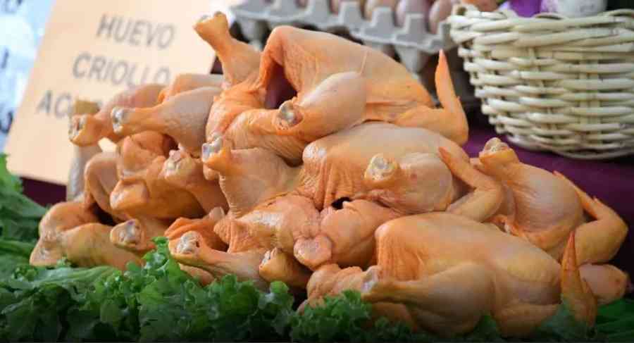 Tarija podría enfrentar escasez total de carne de pollo, según el ADAT