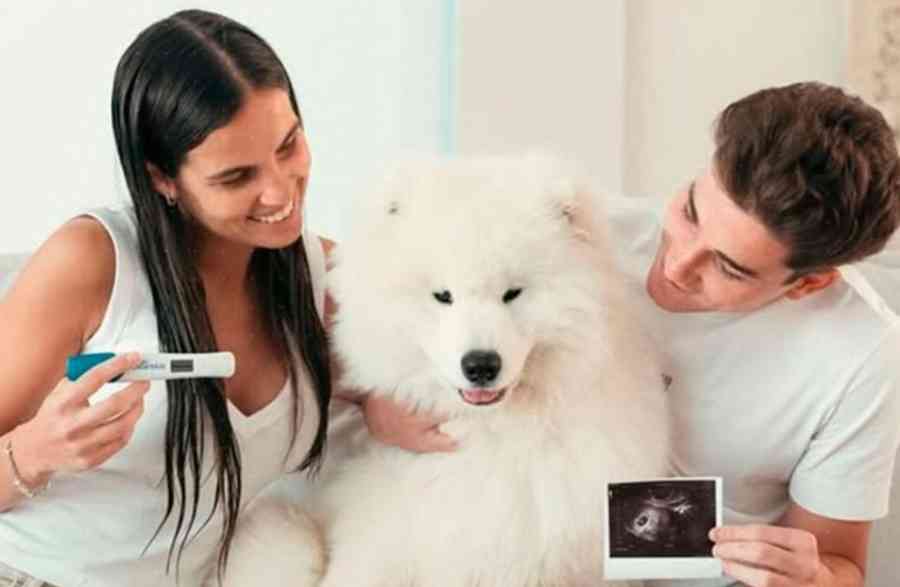 Julián Álvarez y Emilia Ferrero confirmaron la llegada de su primer hijo