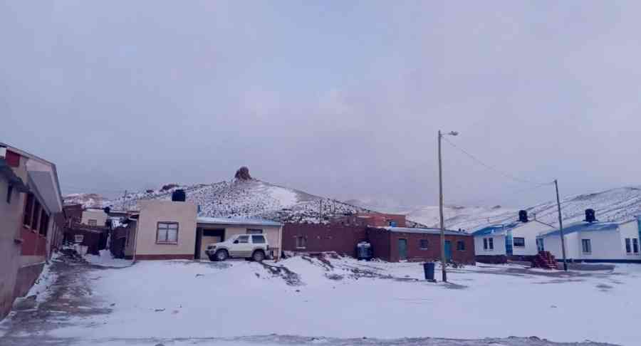 Nevadas provocan muerte de llamas en Potosí y las heladas dañan cultivos en Tarija y Chuquisaca