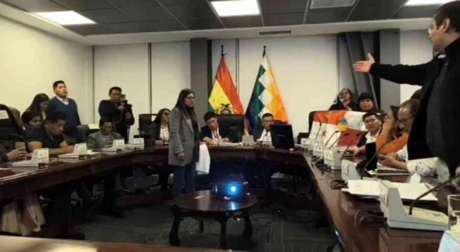 En medio de gritos, los arcistas instalan sesión para tratar contratos de litio