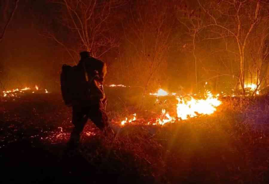 “Momento crítico”: Gobierno reporta 4.160 focos de calor y 12 fuegos activos