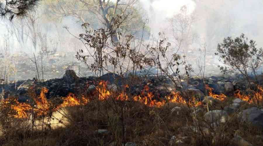 Incendio en Sama: Un comunario sufrió quemaduras, está en terapia intensiva