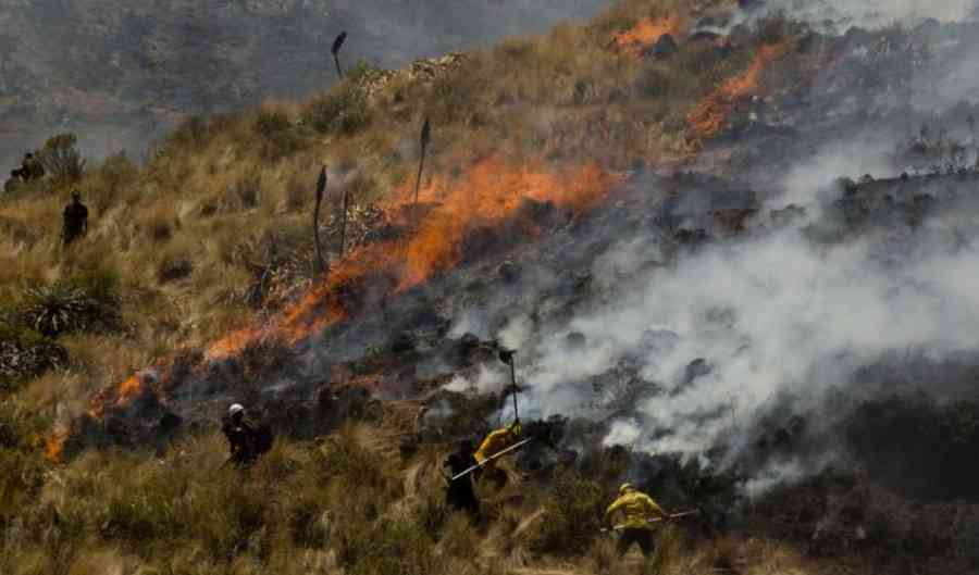 Incendios forestales: gobierno confirma diez fuegos activos en el país