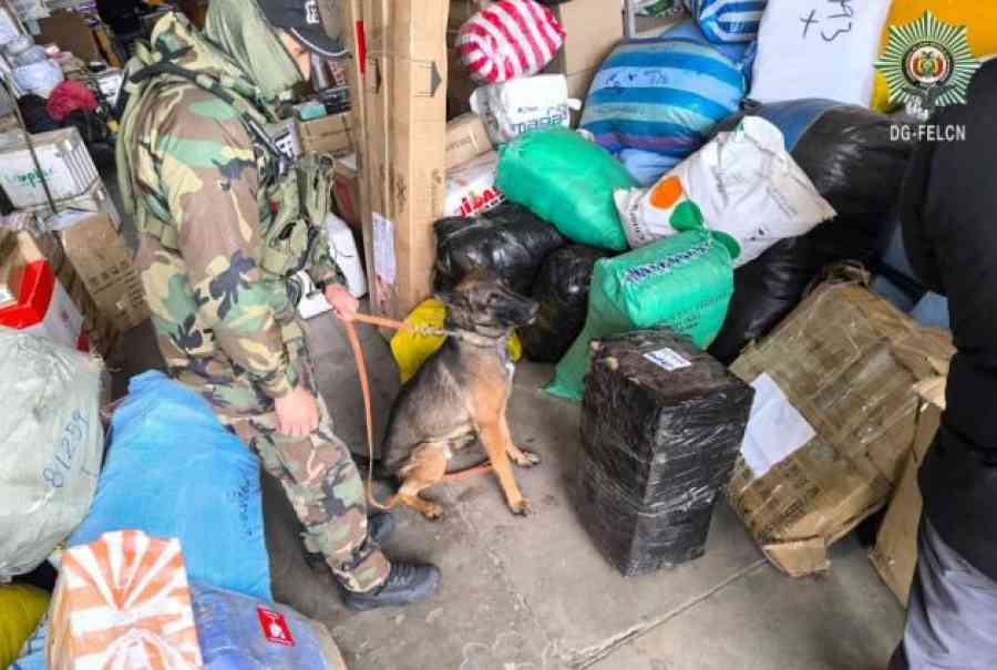 Tarija: Incautan narco encomienda de marihuana