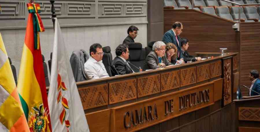 Diputados eligen vocales de Oruro y Potosí, devuelven ternas de La Paz y esperan Chuquisaca