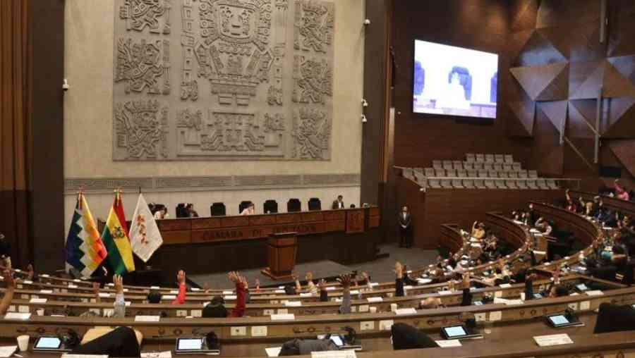 Reducción de salarios: un parlamentario dice que habrá fuga de cerebros legislativos