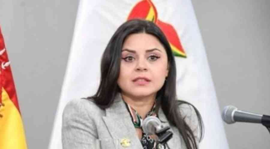 Carla Faval renuncia a la Vocería Presidencial