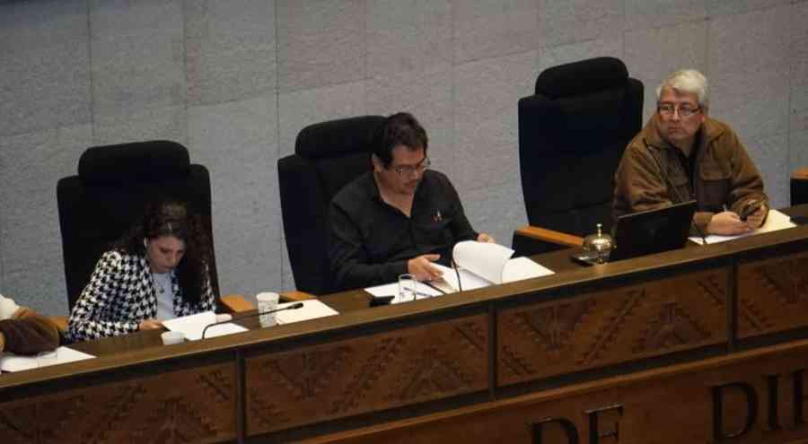 Con dispensación de trámite, diputados tratan la regulación de los estados de excepción