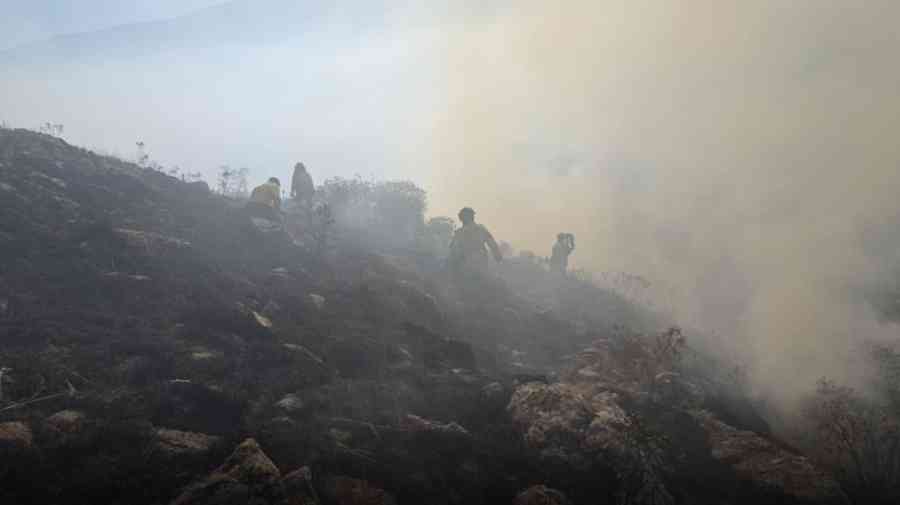 Incendio en Churquis: Alcaldía de Tarija reporta cerca de 100 hectáreas afectadas y activa suministro de agua mediante cisternas